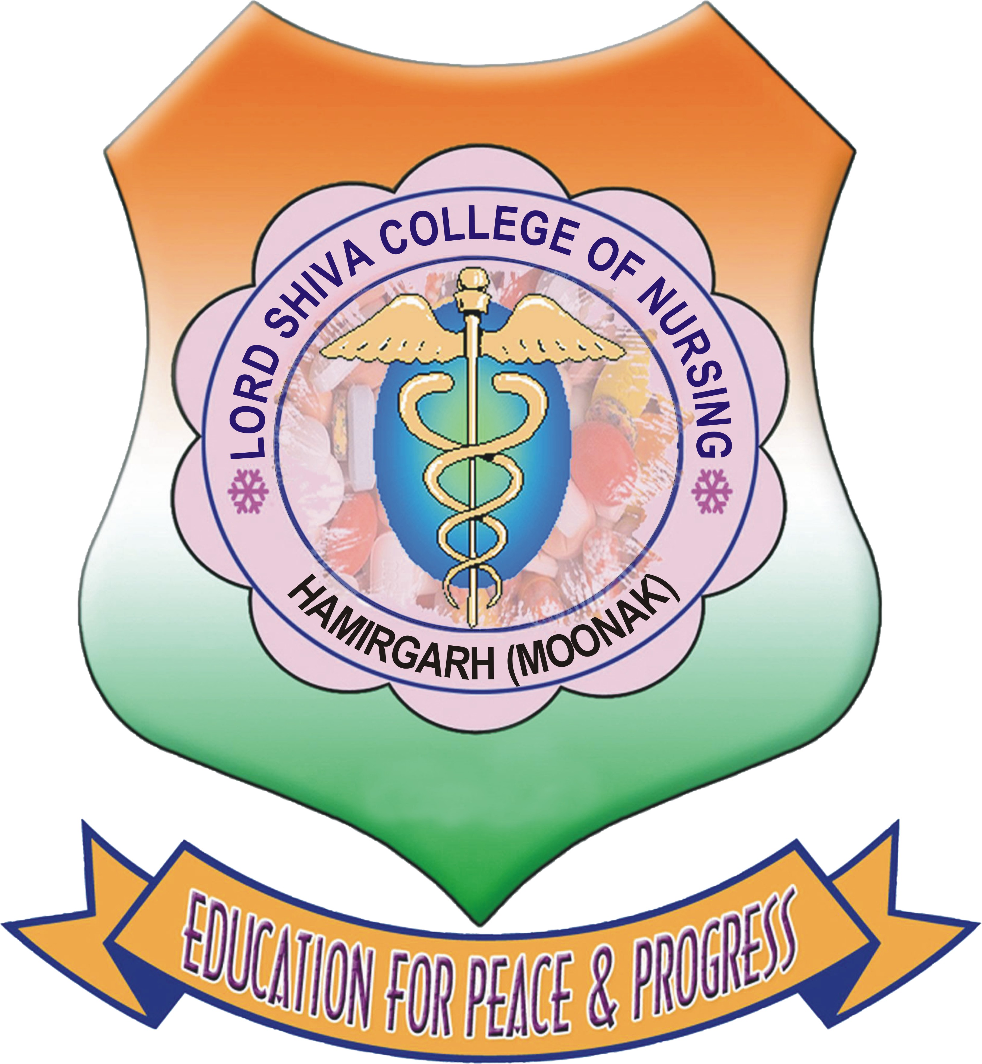 College Logo